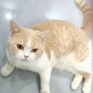 我叫你一声你敢答应吗