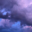 Thepurpleskys