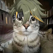 果咩内我好像冲似了喵