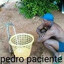 Pedro Paciente
