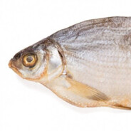 Святослав Солевой