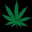weed