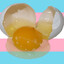 3 week old egg
