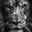 the lion