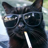 mr.cat