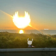 waıtAmIgoingtofightthesun