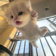 KAZAHSKIYZXCDEVUSHKA