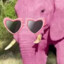 PinkElephant