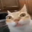 Lyle
