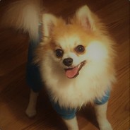Kvaps - steam id 76561197964415853