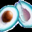 BlueAvocado