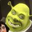 Captured Shrek