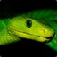 GREENMAMBA