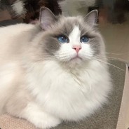 Big Avatar