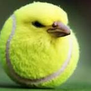 Nicolò Martinazzoli