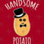 HandsomePotato