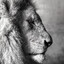bosstayev_