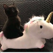 Kyoto Takayama Kiyoshi