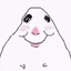 HAMPTER