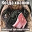 scerexxx