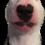 Jaded_turtle