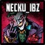 Necku_IBZ