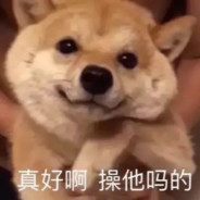 不要！不要停！