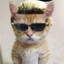 Hex: 7 Meow Meow`s