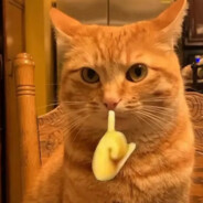 czaek - steam id 76561198002262238