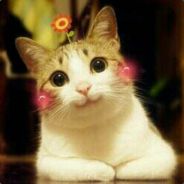 小姐培训哪家强