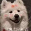 小日子是构式
