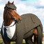 Billy &quot;Horsing around&quot; Johnson