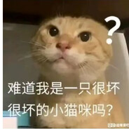 HaJiZhu