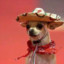 El Perro