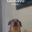 ็