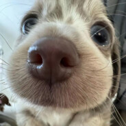 重生成雨伞后学妹雨天