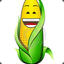 CoRN_X