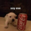 QUE RIKA COLA &lt;3