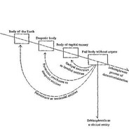 deterritorialized assemblage ($)'s avatar