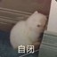 帅哥也揍啊