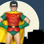 robin