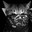 CT | Meow