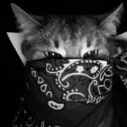 CT | Meow