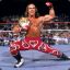 Shawn Michaels