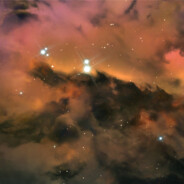 不及明月照我心