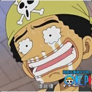 不要问我为什么这么菜