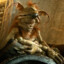 Salacious B. Crumb