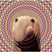 TTV KaroGanDa *******