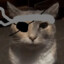 Podpivas gaming