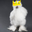 chickenroyalty23